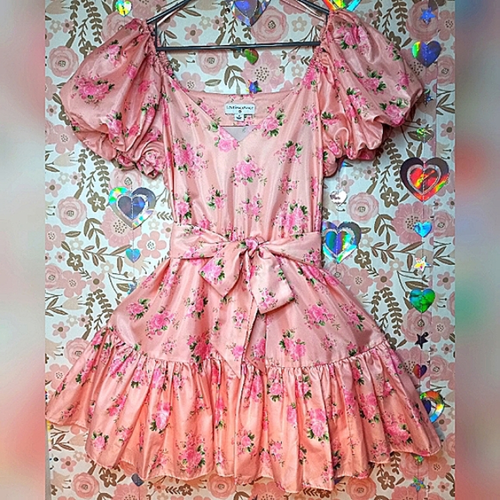 LoveShackFancy x Target Cecile Dress in M Size 6